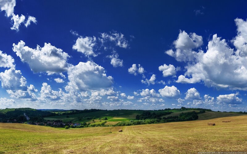 Rural landscape with hay bales