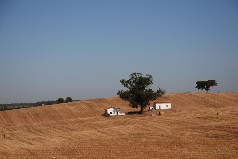 Rural landscape with hay bales