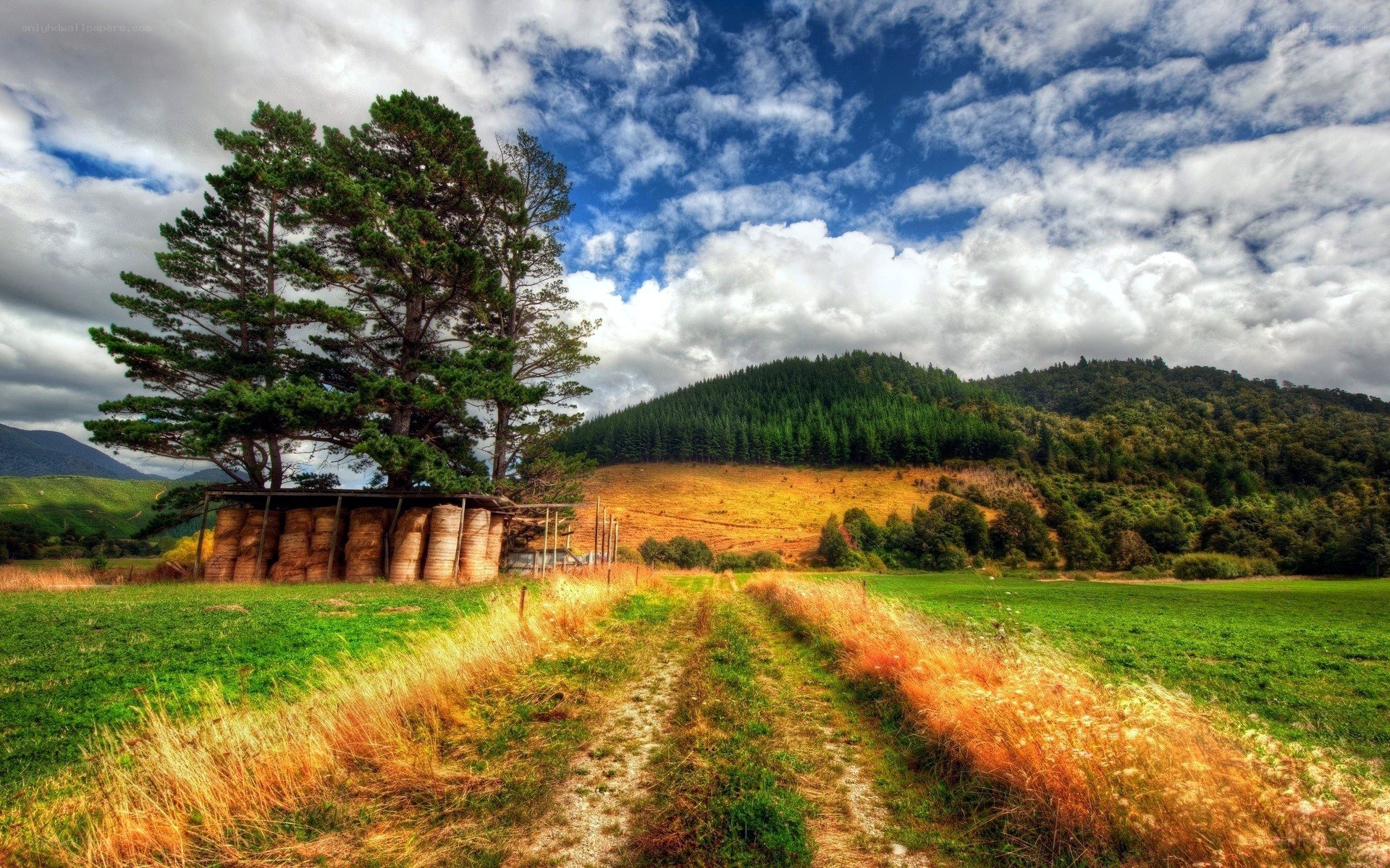 Rural landscape with hay bales