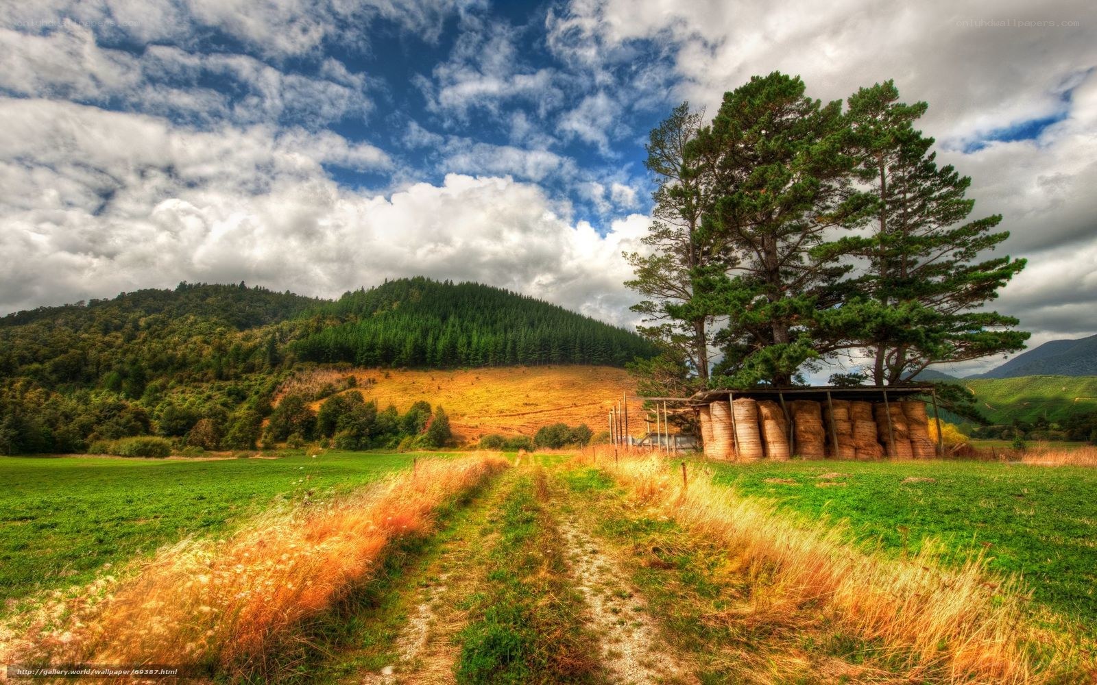 Rural landscape with hay bales