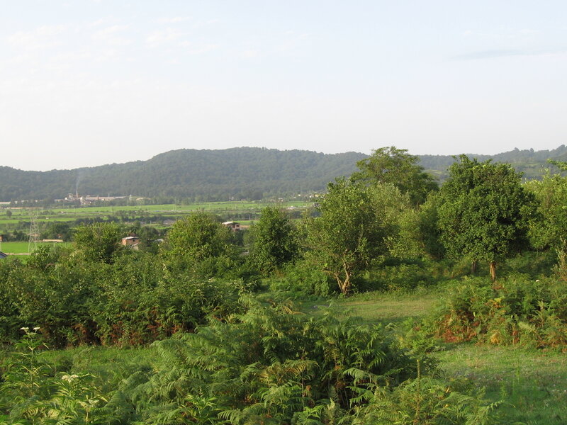 rural landscape with hills