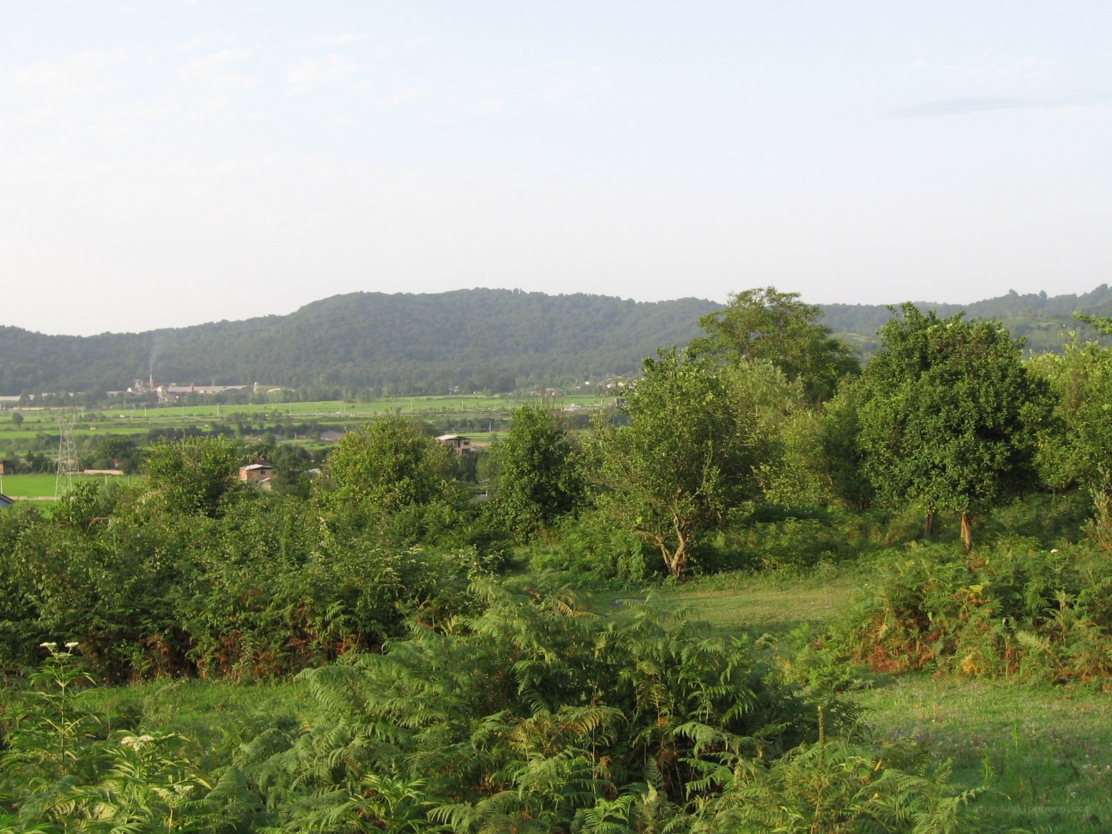 rural landscape with hills