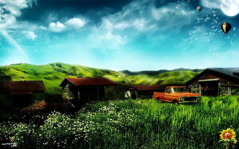 Rural landscape with hot air balloons