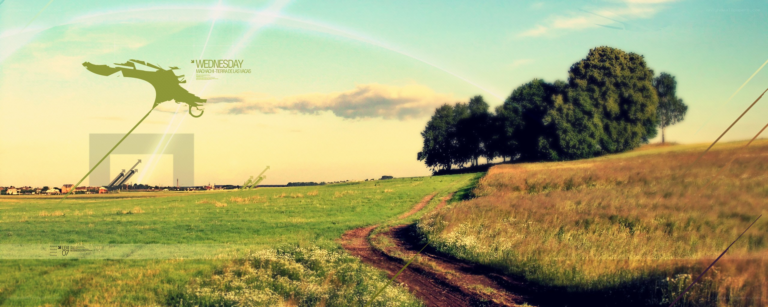 Rural landscape with kite and path