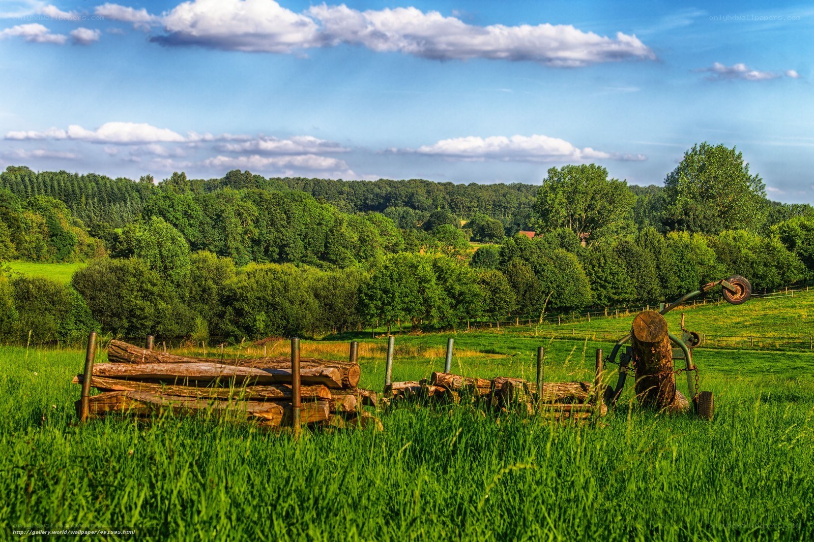 Rural landscape with logs and machinery