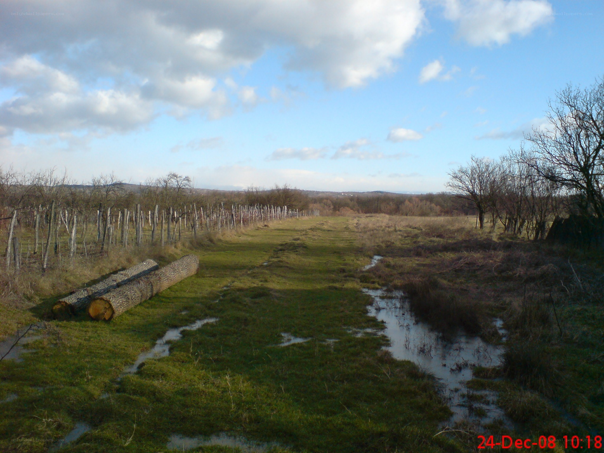 Rural landscape with logs and stream
