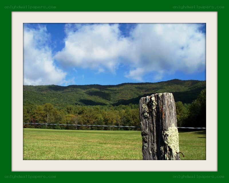 rural landscape with mountains