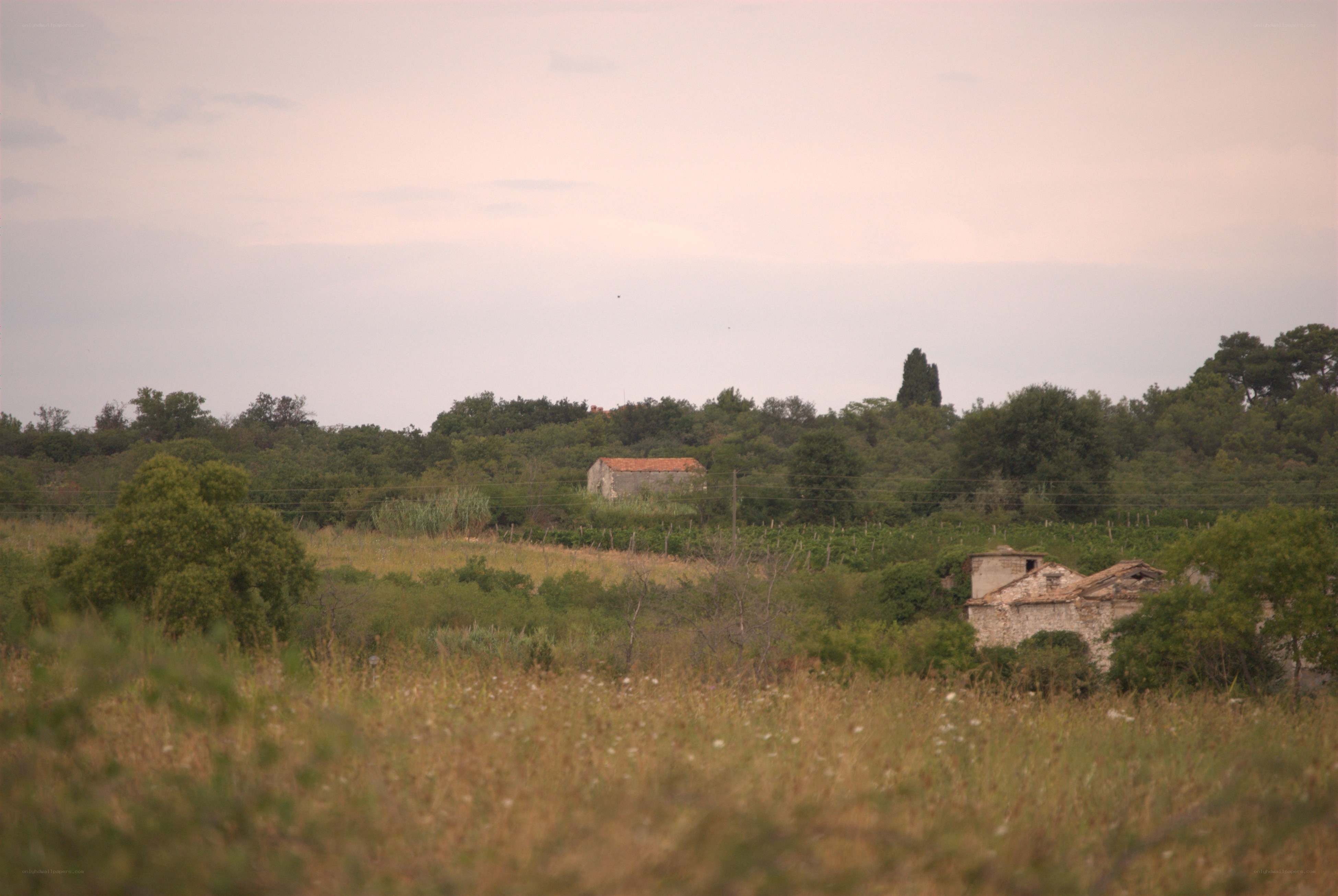 rural landscape with old buildings