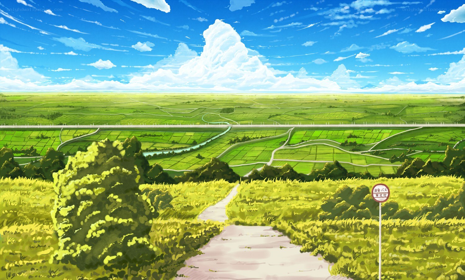 rural landscape with path