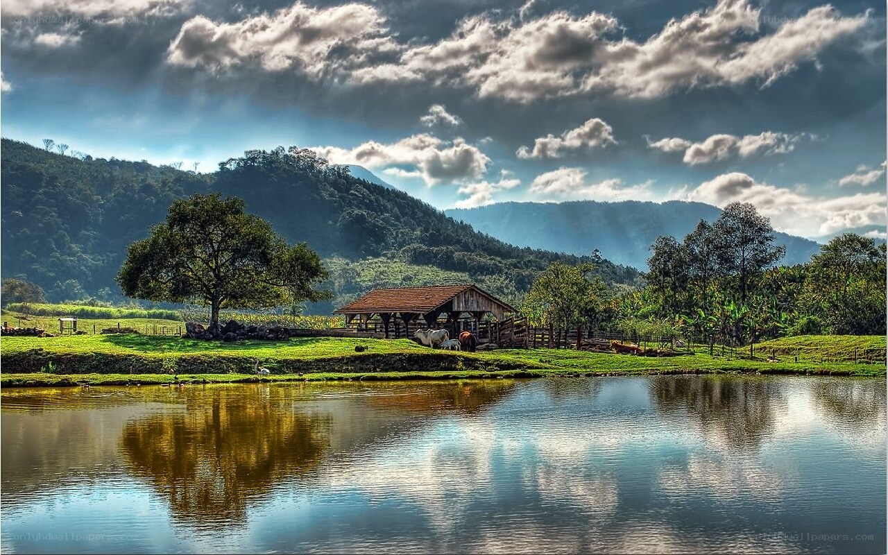 Rural landscape with pond and barn