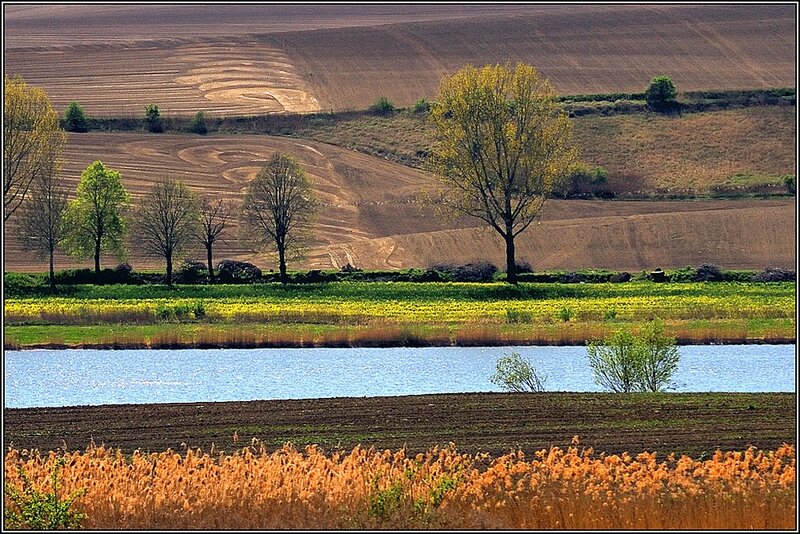 Rural Landscape with Pond — Brown