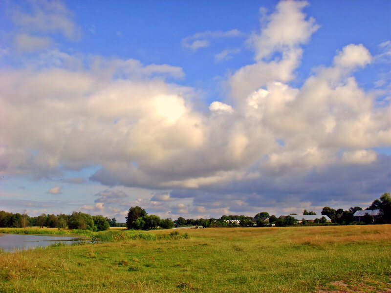 Rural Landscape with Pond