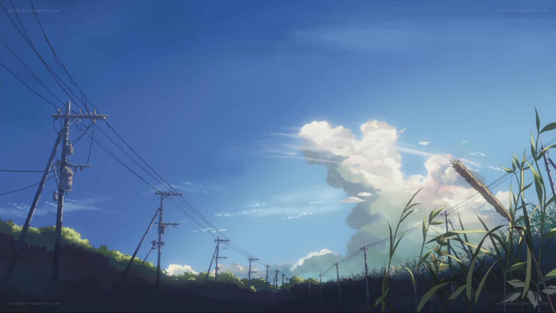 Rural landscape with power lines