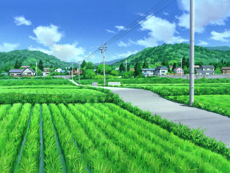 rural landscape with rice fields