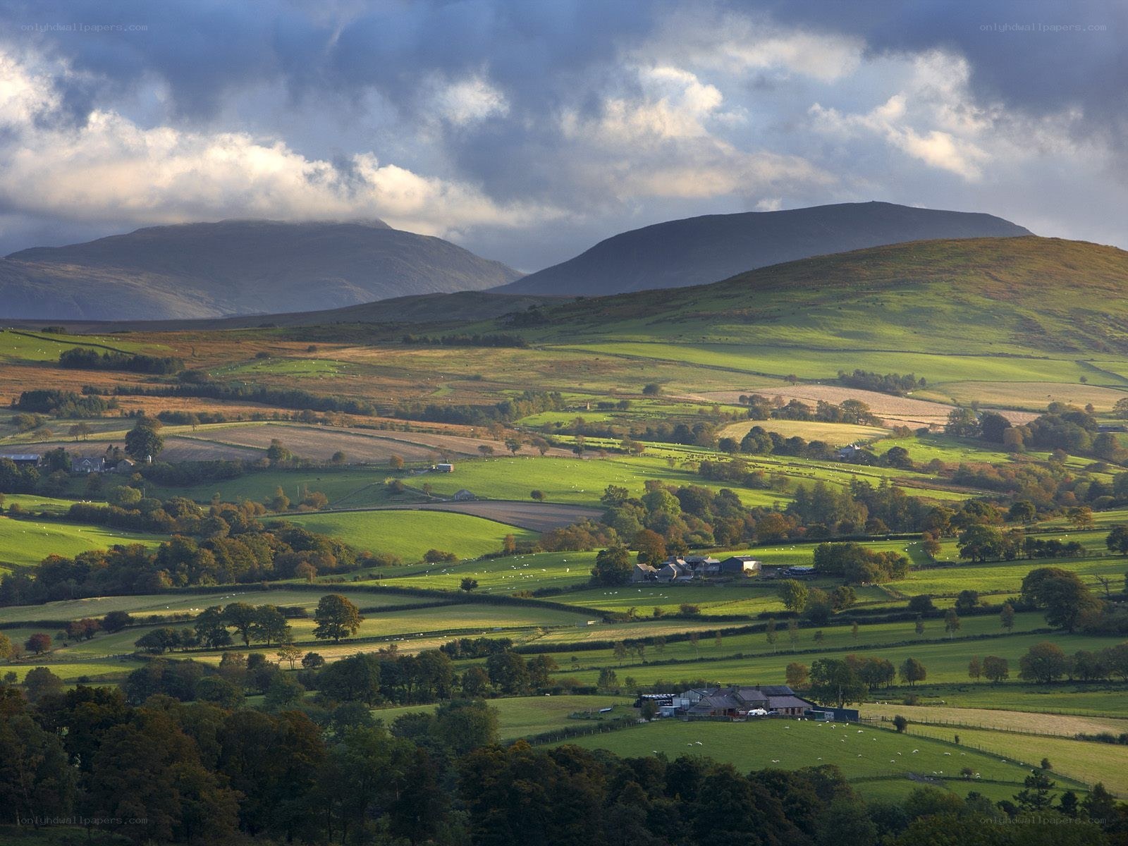 rural landscape with rolling hills