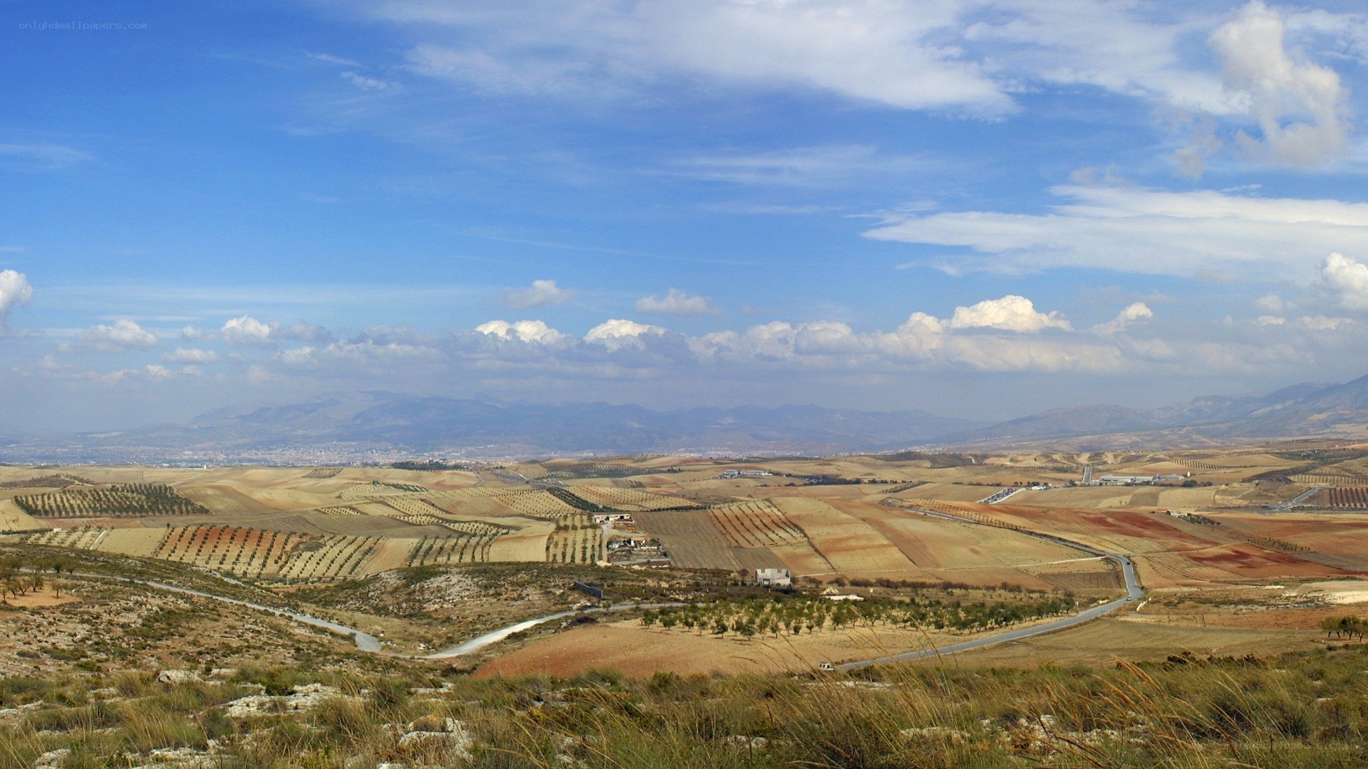 rural landscape with rolling hills