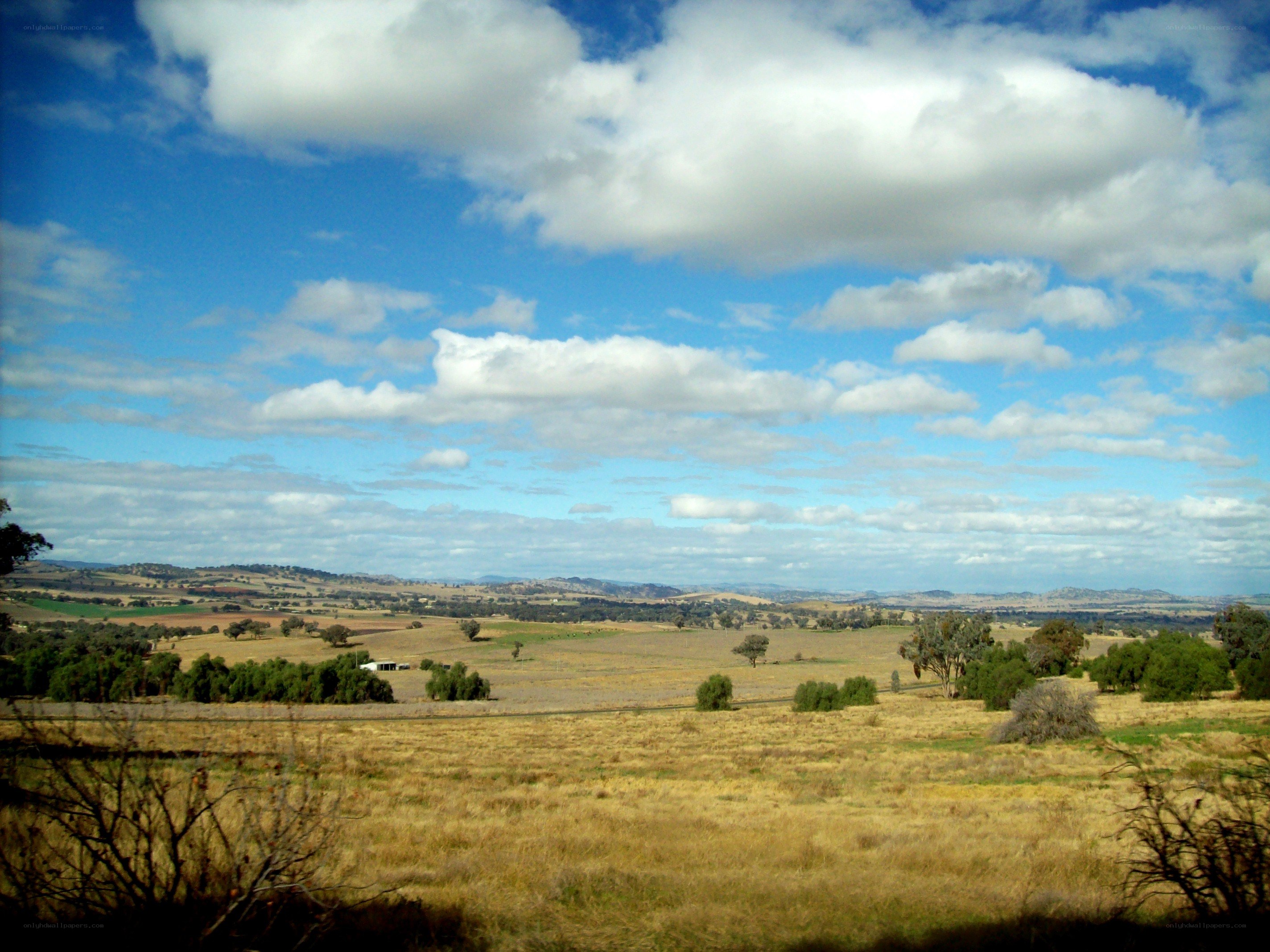 rural landscape with rolling hills