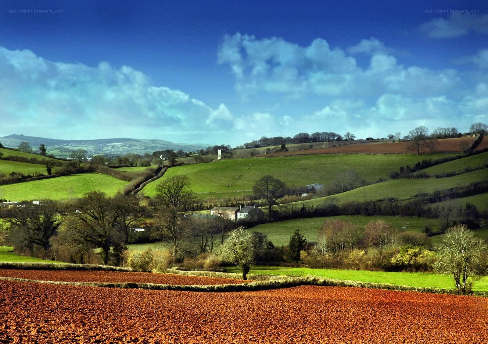 rural landscape with rolling hills