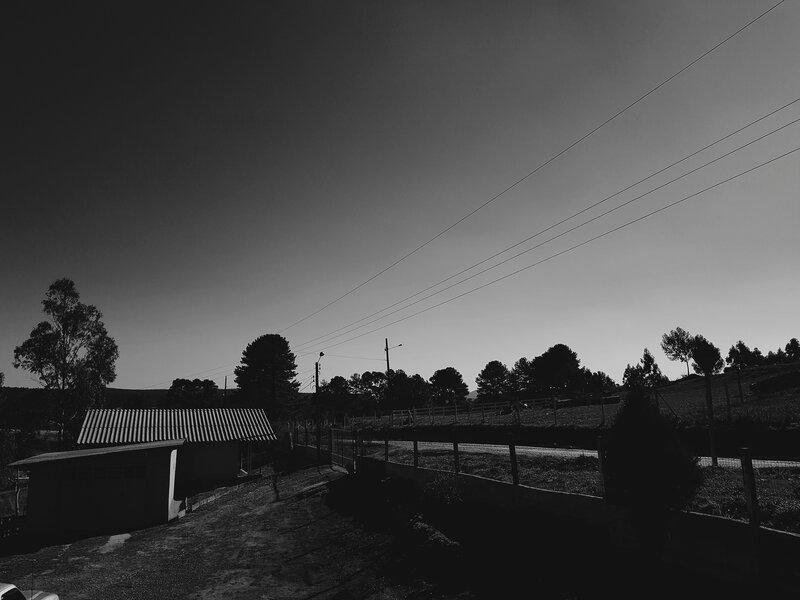 Rural Landscape with Shed — Black
