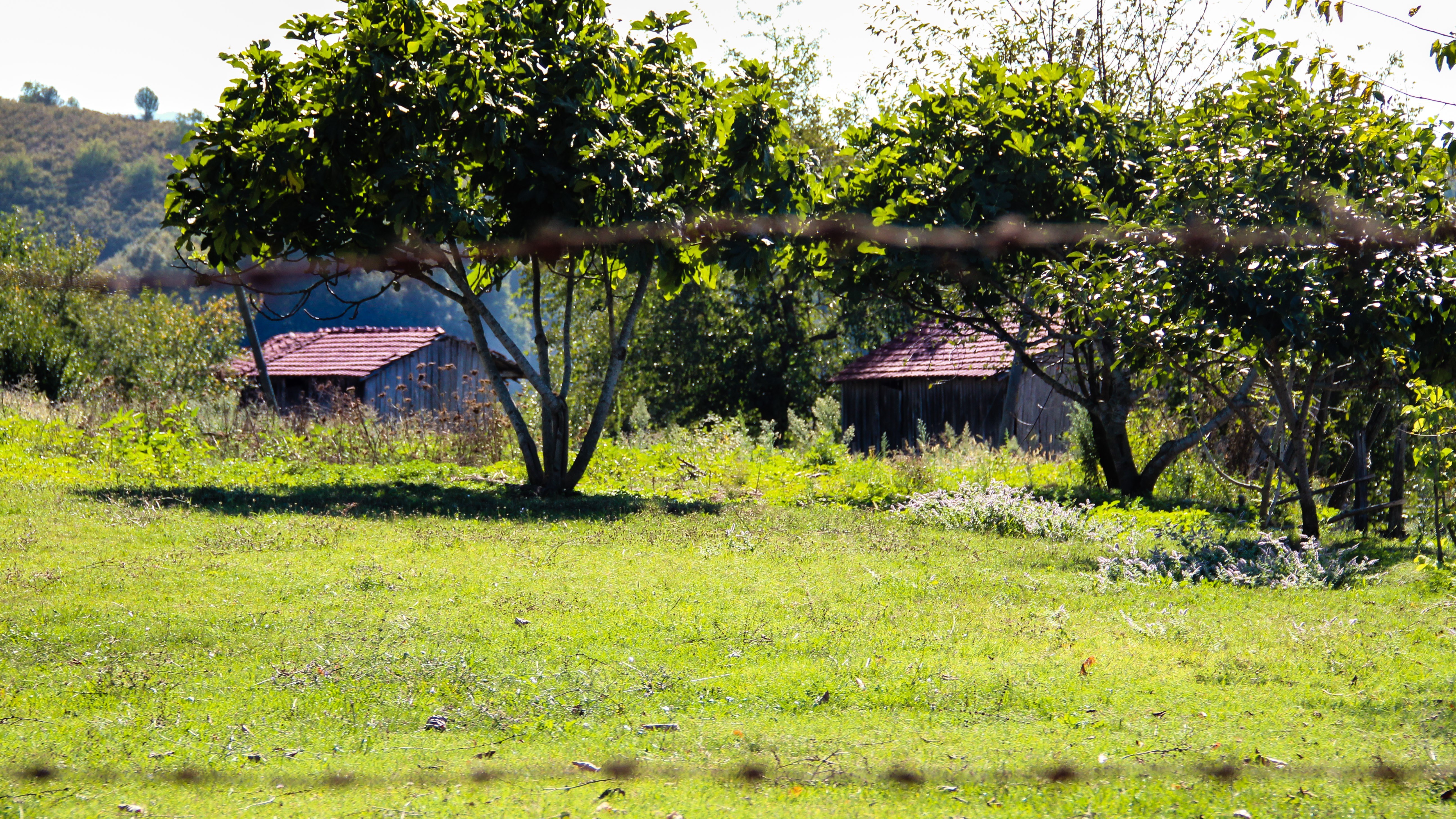 Rural landscape with sheds
