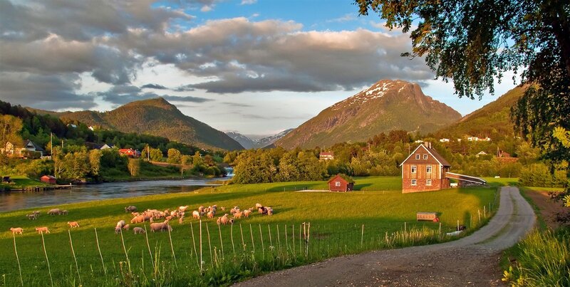 Rural landscape with sheep and mountains