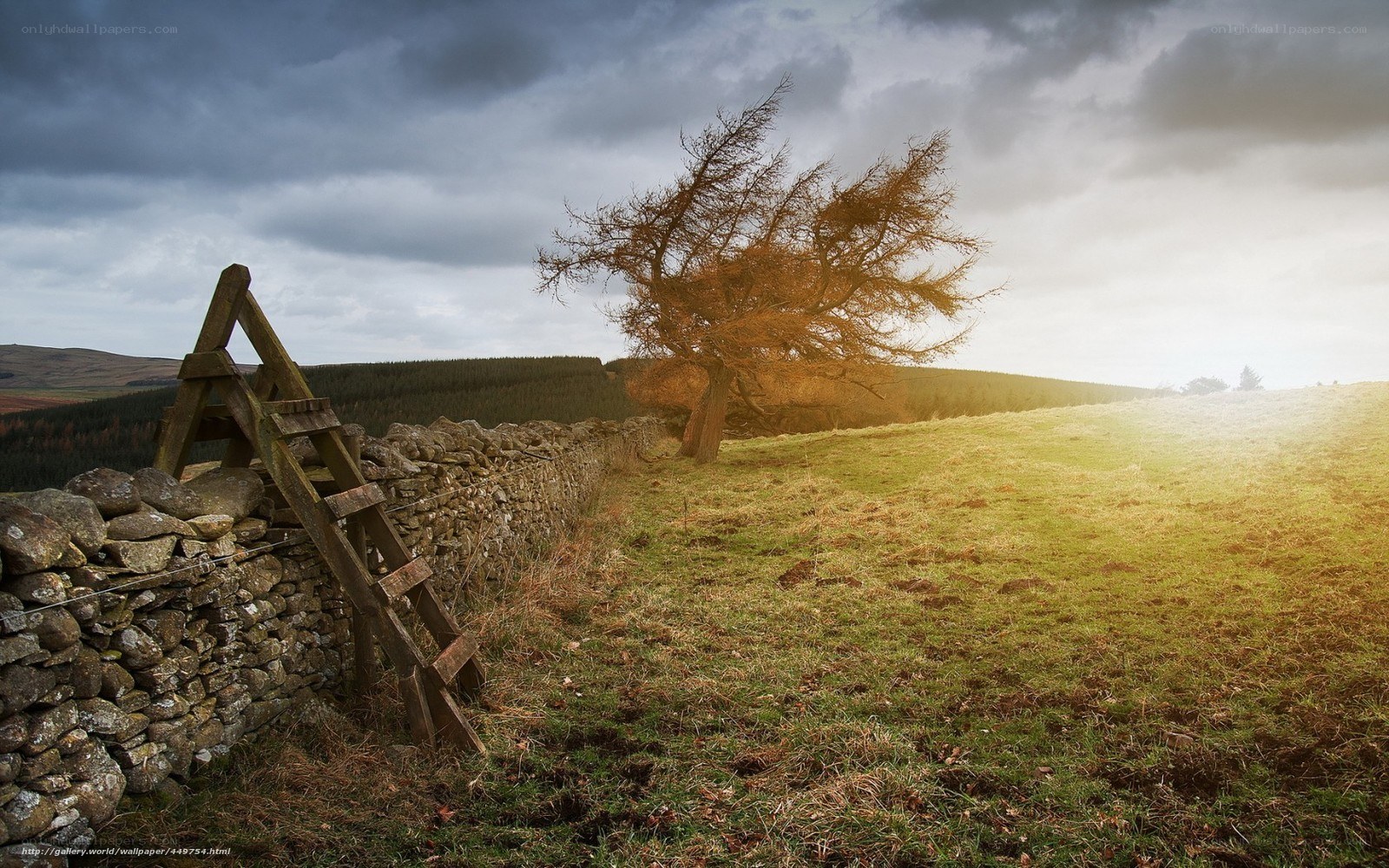 Rural landscape with stone wall