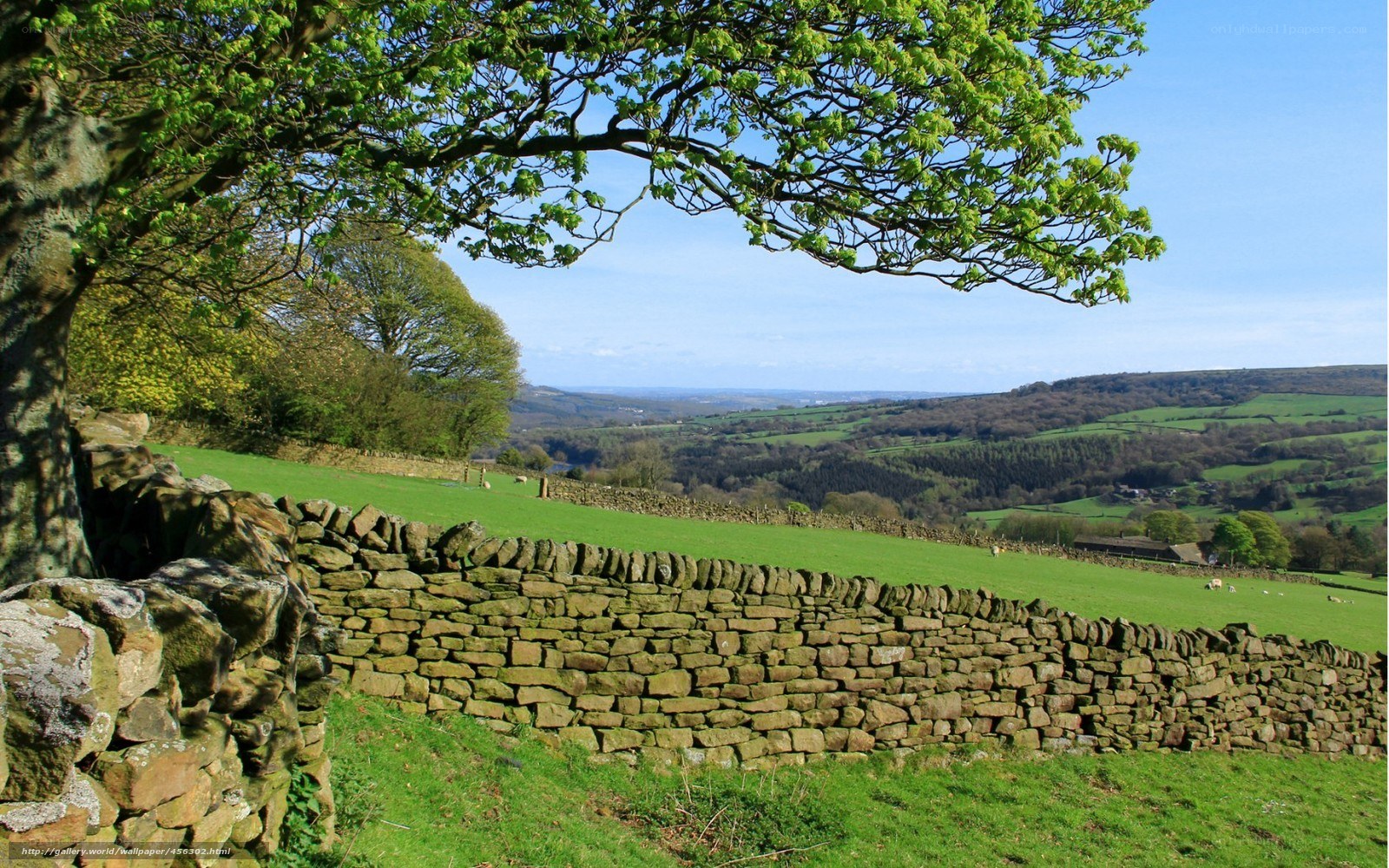 rural landscape with stone wall