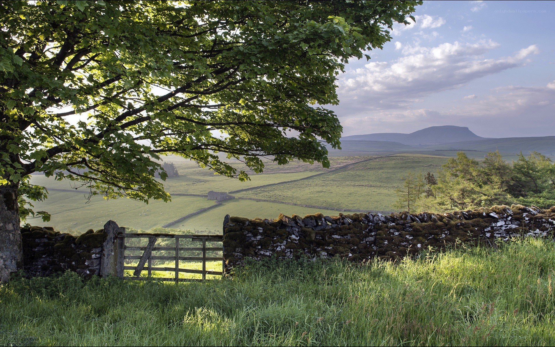 Rural landscape with stone wall