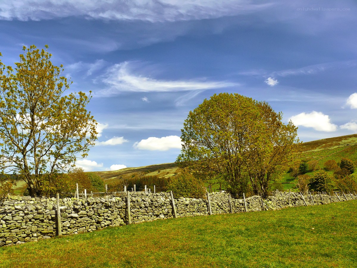 Rural landscape with stone wall