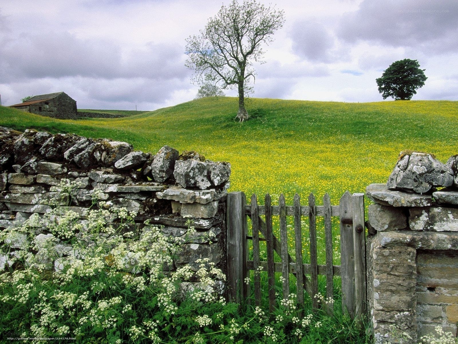 Rural landscape with stone wall