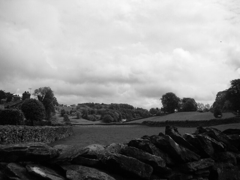 Rural Landscape with Stone Walls — Black