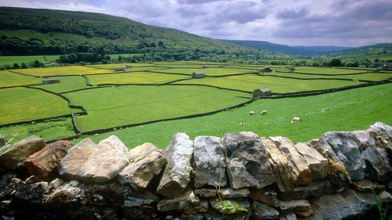 rural landscape with stone walls