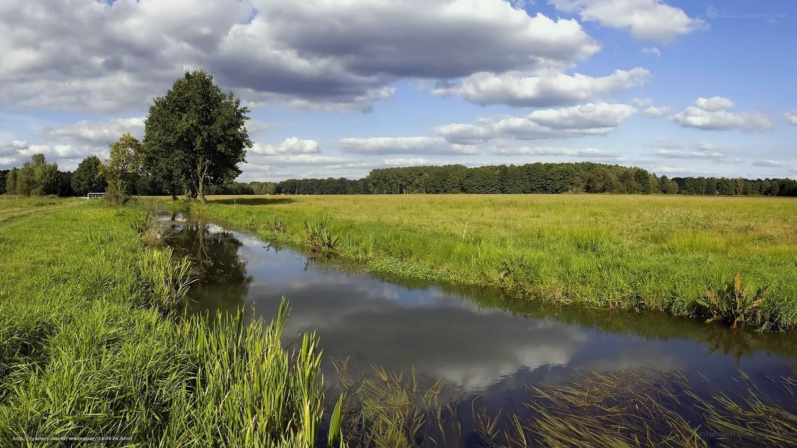 Rural landscape with stream