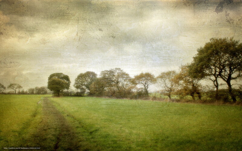 rural landscape with trees