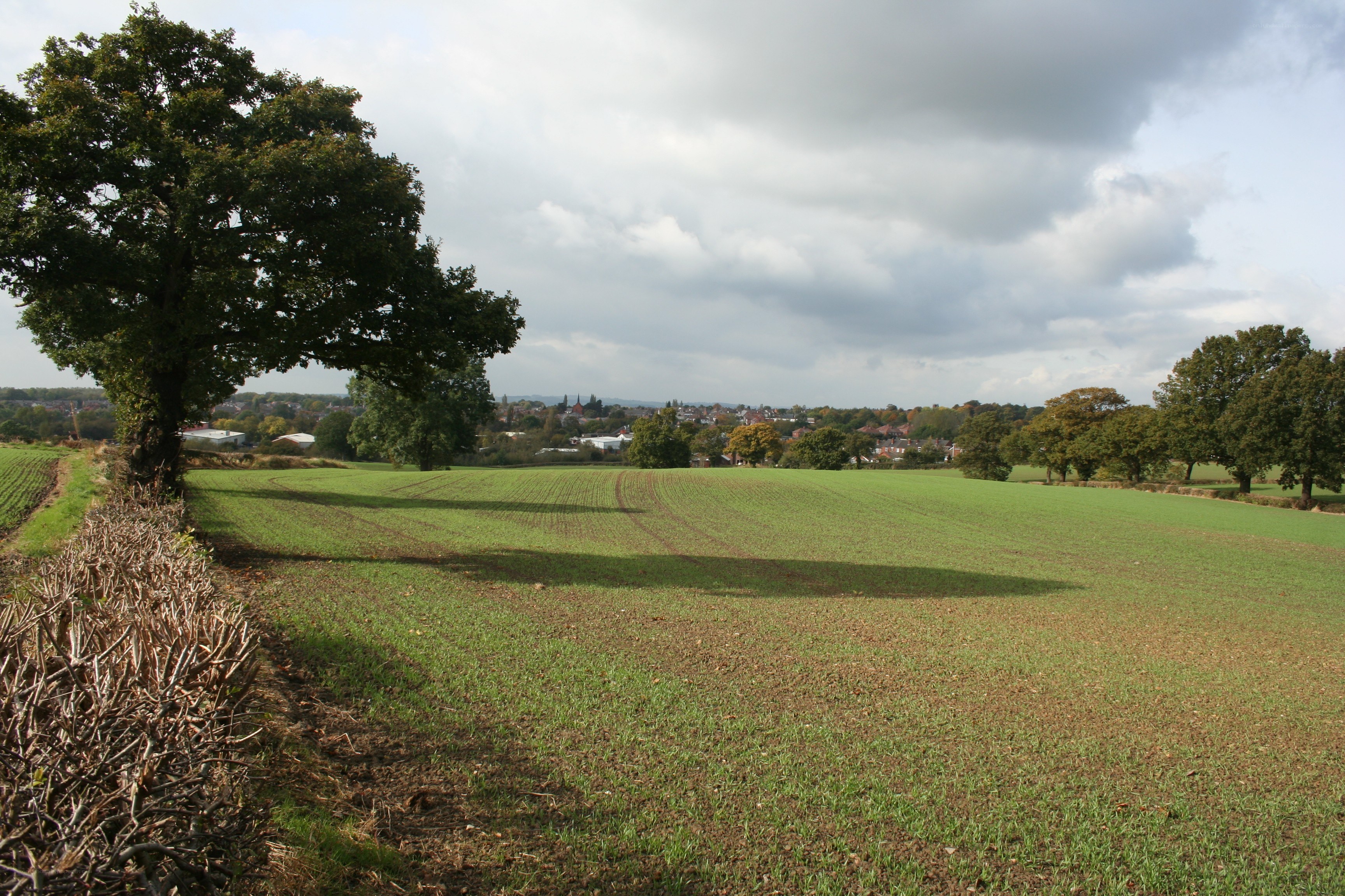 Rural landscape with village view