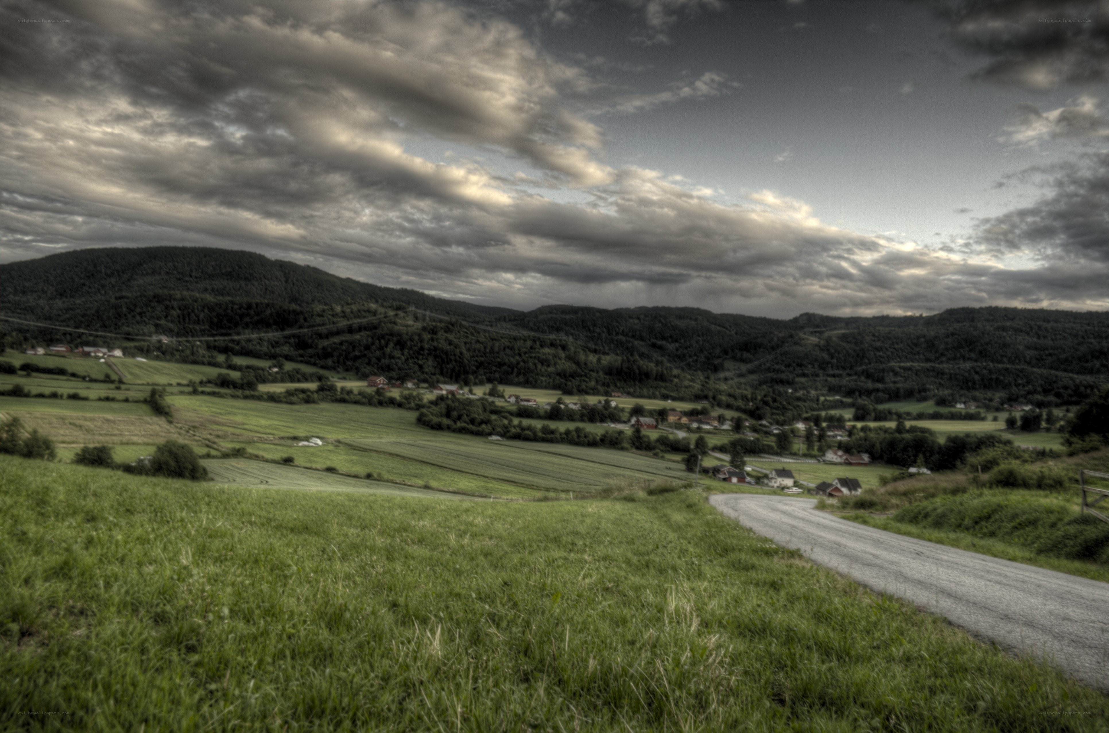 Rural landscape with winding road
