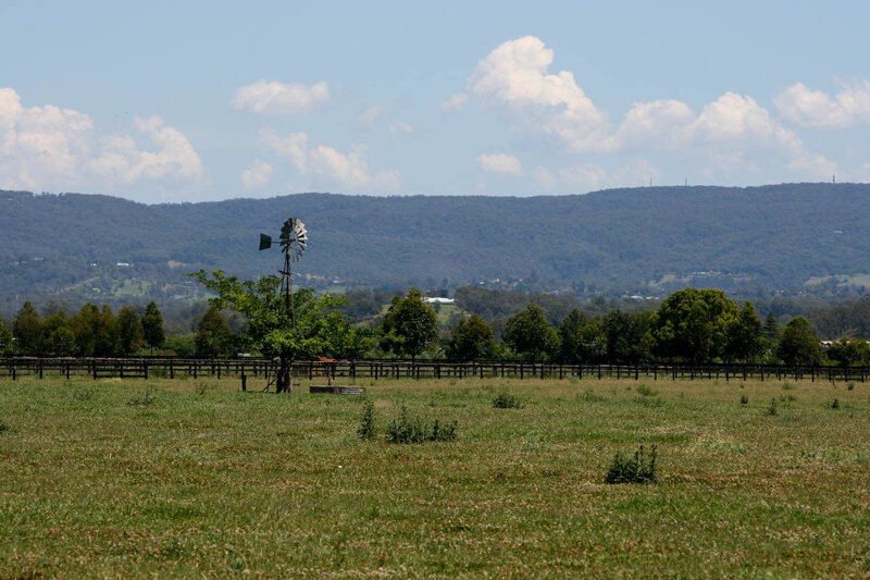 Rural landscape with windmill
