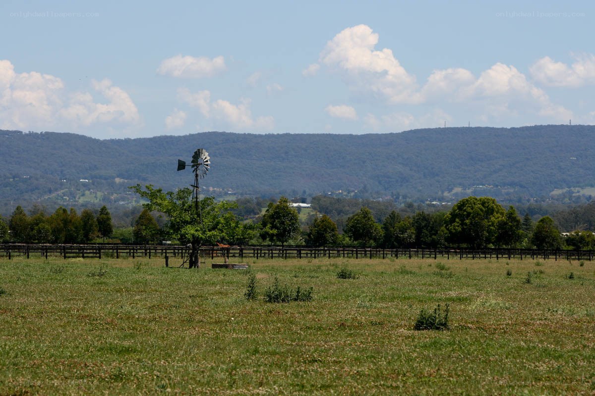 Rural landscape with windmill