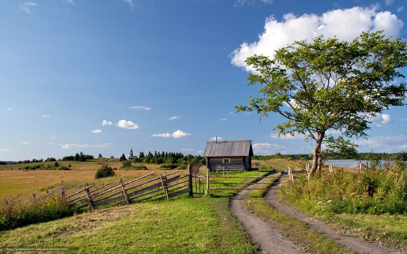 Rural landscape with wooden cabin