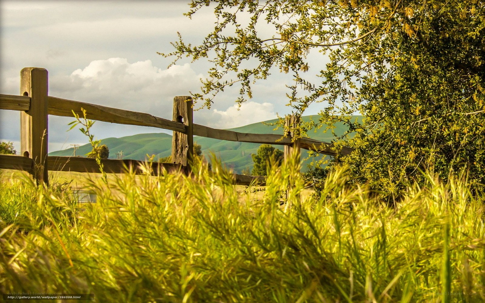 Rural landscape with wooden fence