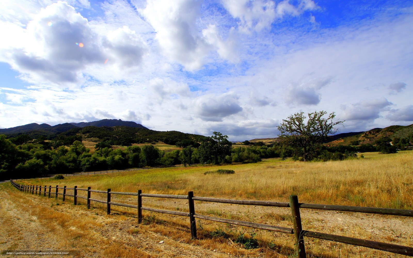 Rural landscape with wooden fence