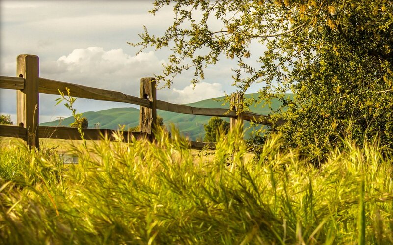 Rural landscape with wooden fence
