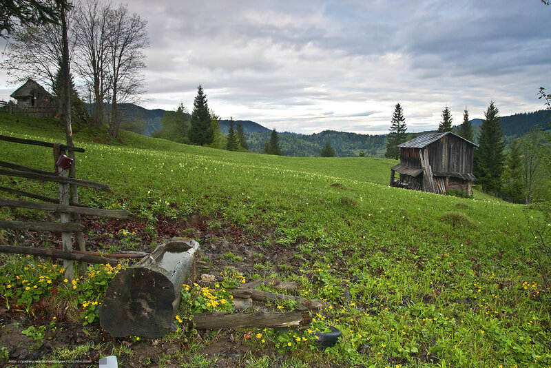 Rural landscape with wooden huts