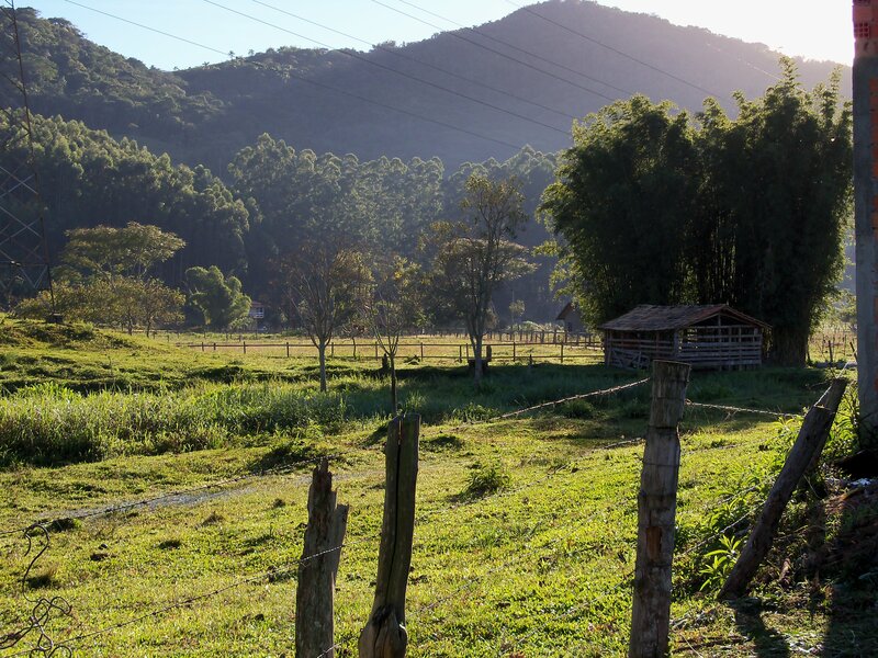 Rural Pasture with Hut