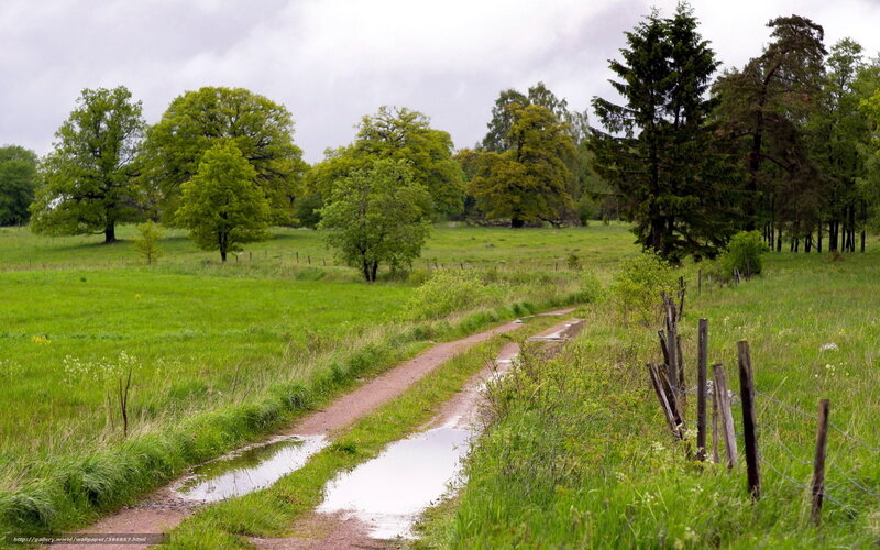 rural path after rain