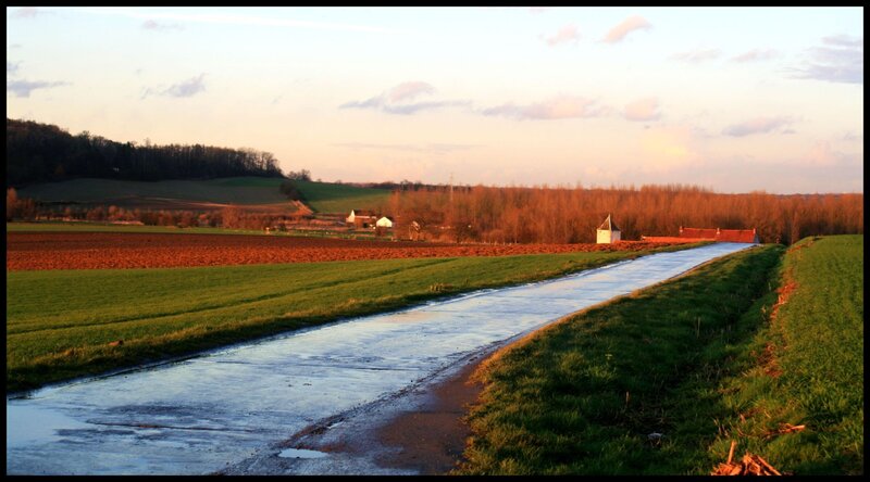 Rural path at sunset