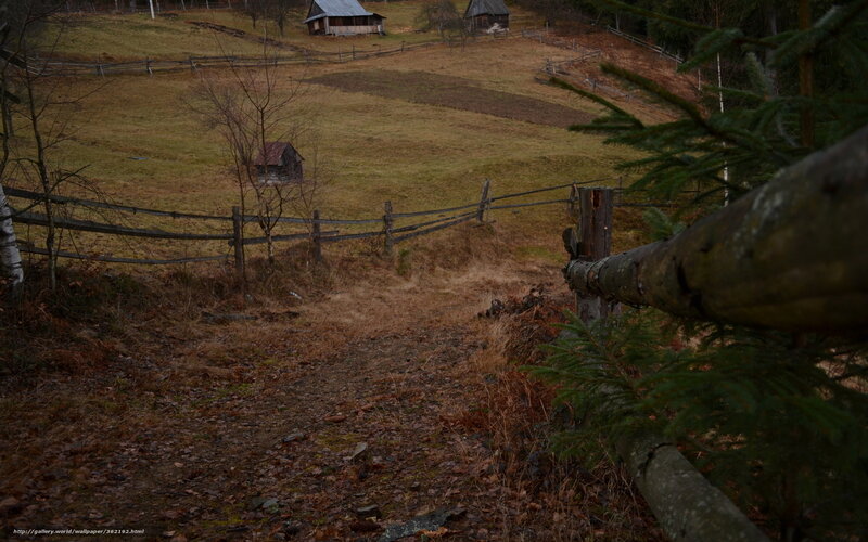 rural path in autumn