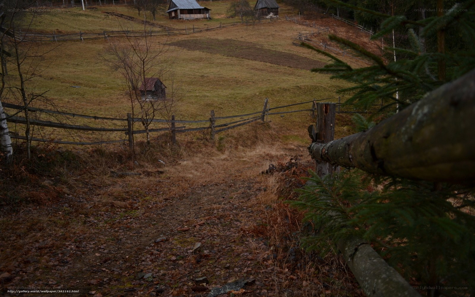 rural path in autumn