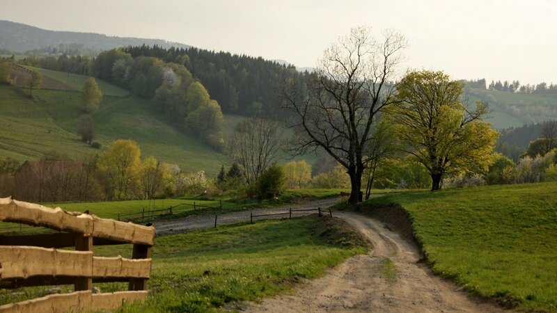 Rural path in green hills