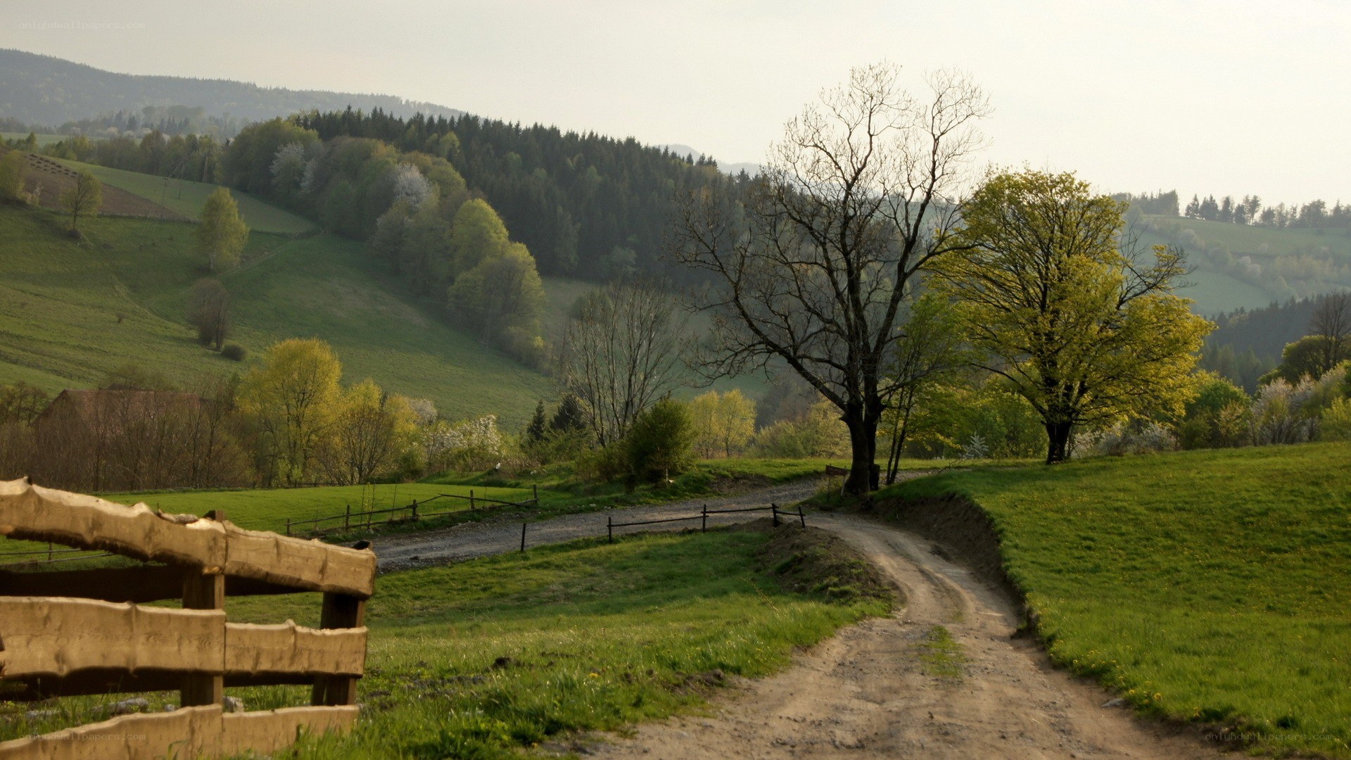 Rural path in green hills